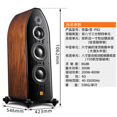 HAVE 2020上海高级视听展详情回顾-派扬音响